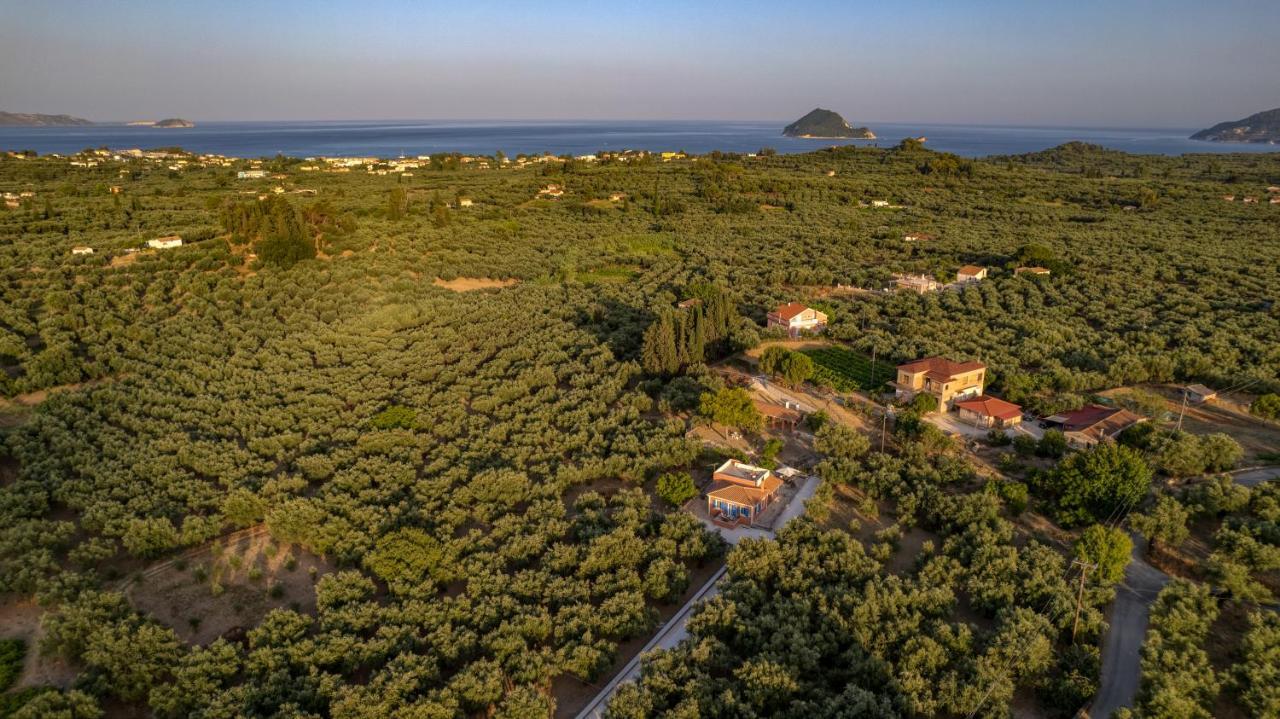 Casa Regina Holiday home Lithakia (Zakynthos)